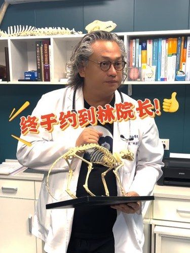 顽皮家族林院长门诊之行，收获满满！