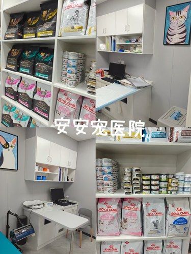 联洋专业宠物医院-疫苗-体检-治疗-yyds