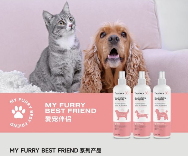 联名 CatMagic 喵洁客,加拿大清洁品牌 Purodora Lab 淳雾进军国内