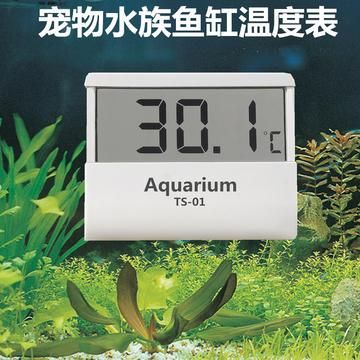 鱼缸温度多少合适,冬天鱼缸的水温调到多少适合