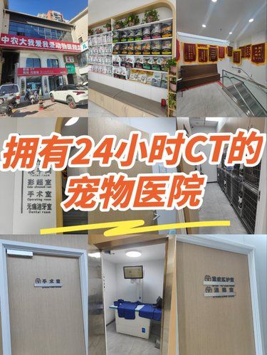 拥有24小时CT的宠物医院