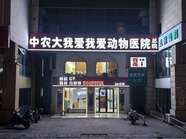 东坝这家宠物医院总院实力强到可怕