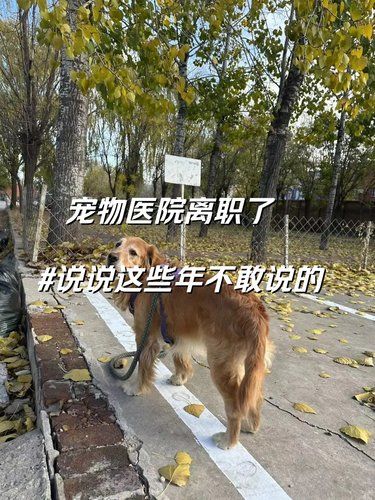 宠物医院已离职～现在可以提问了