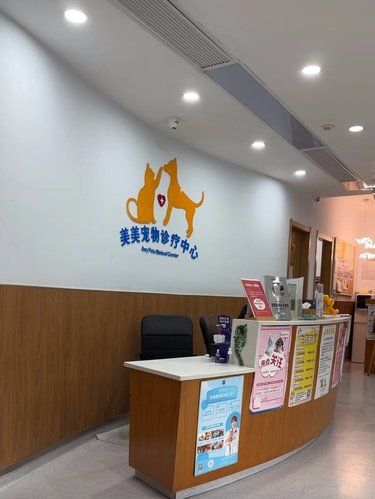 毛孩子的健康我来守护