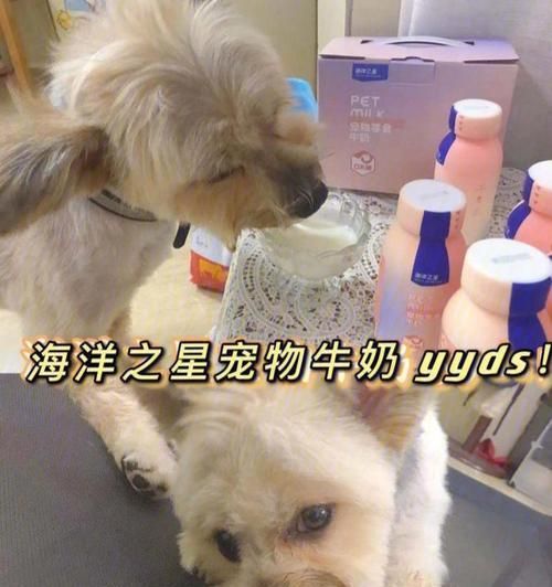 狗狗能喝配方奶粉吗（宠物喝奶粉的注意事项及营养成分分析）