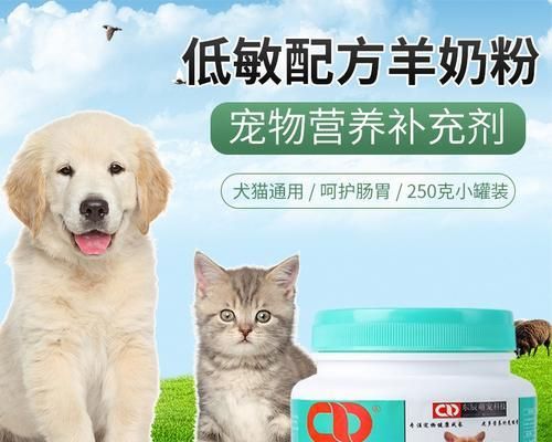 狗狗能喝配方奶粉吗（宠物喝奶粉的注意事项及营养成分分析）