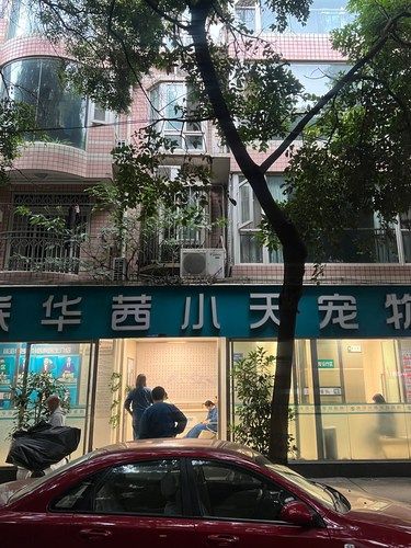 终于找到靠谱又放心的宠物医院了‼️