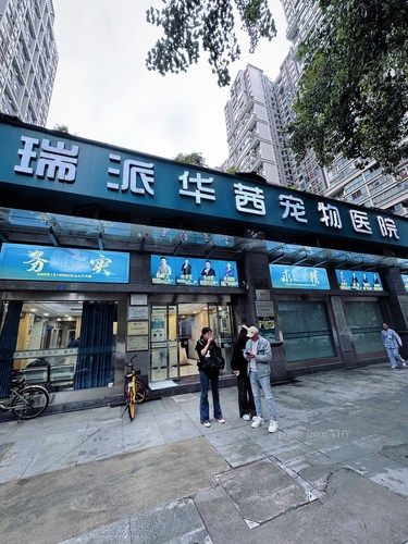 守护我的哈基米