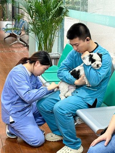 成都这家宠物医院真的让人太安心啦！