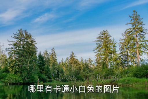 哪里有卡通小白兔的图片