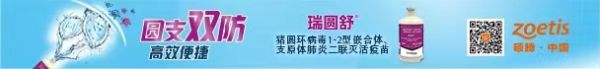 瑞圆舒