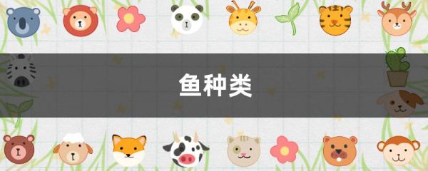 鱼种类