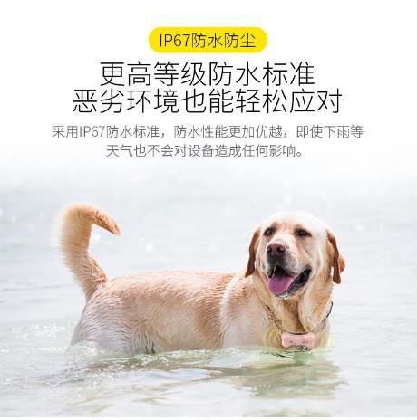 济南GPS定位宠物定位器