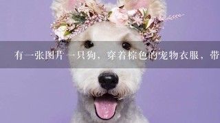 有一张图片一只狗，穿着棕色的宠物衣服，带帽的在仰