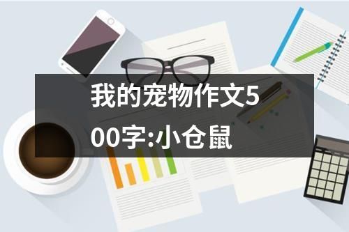 我的宠物作文500字:小仓鼠