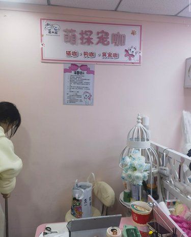 小寨金莎萌探猫咖