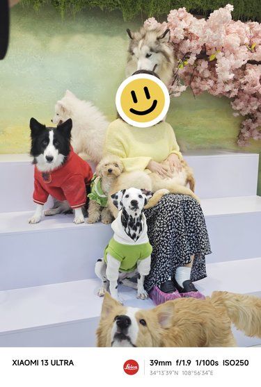 这家店里的绝佳合照打卡位