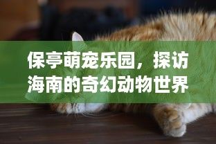 保亭萌宠乐园，探访海南的奇幻动物世界