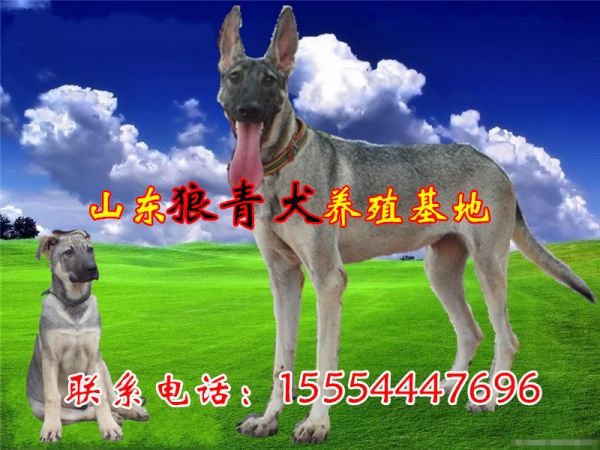 02143ad4bd113391c217b5aafa40f4