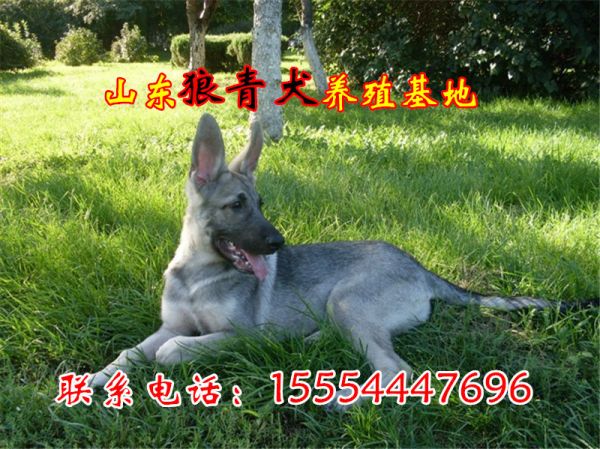 d000baa1cd11728b2d5ee595c8fcc3