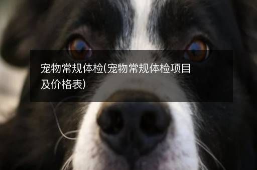 宠物常规体检(宠物常规体检项目及价格表)