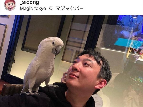 王思聪和自家鹦鹉