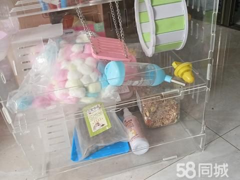 双鸭山宠物用品/食品·仓鼠笼子