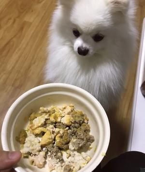 自制狗饭(可做湿粮 辅食)的做法 步骤5