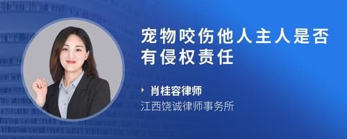 宠物咬伤他人主人是否有侵权责任