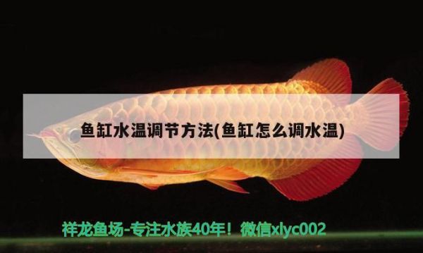 鱼缸水温调节方法(鱼缸怎么调水温)