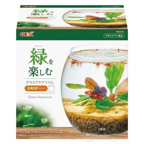 【交流】微景生态缸手把手制作视频教学，快和老王一起造起来。-图6