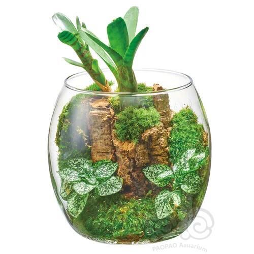 【交流】微景生态缸手把手制作视频教学，快和老王一起造起来。-图9