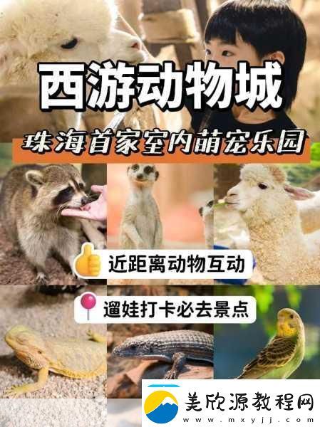 天谕手游探索指南萌宠猫狗具体位置揭秘资讯速递