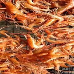 天然青虾,水煮中青虾,冷冻大虾公,烤虾!