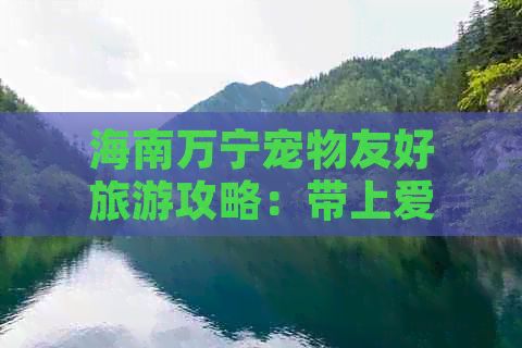 海南万宁宠物友好旅游攻略：带上爱犬畅游必去景点与住宿指南