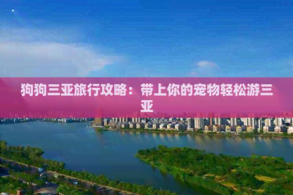 狗狗三亚旅行攻略：带上你的宠物轻松游三亚