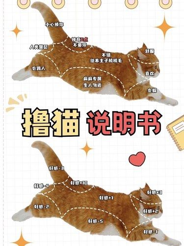 放松喵～心情也融化
