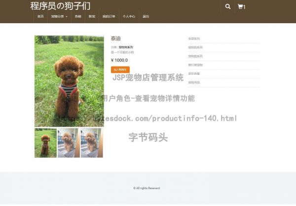 用户角色-查看宠物详情