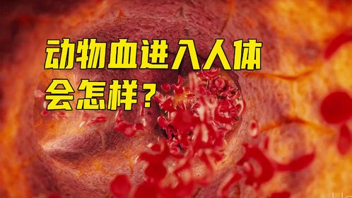 如果将动物血液输入到人类的身体里，会发生什么？