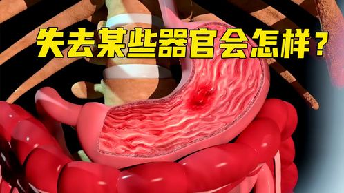 如果我们失去某些关键性的器官，真的就无法存活下去了吗？