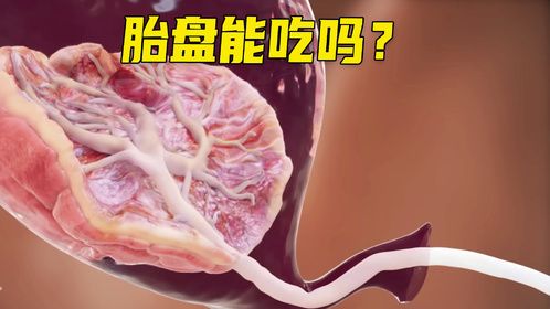 胎盘能不能吃呢?它真如传言那样具备神奇的营养功效吗?