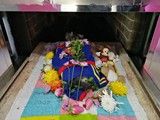重庆江北实体门店宠物火化-请找宠爱多 殡葬宠物公司
