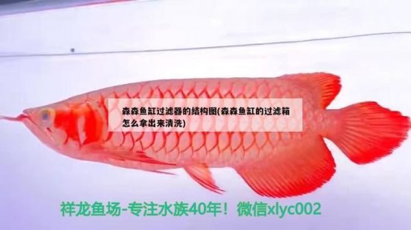 森森鱼缸三合一过滤器拆装视频（森森鱼缸过滤器维护周期如何自制鱼缸过滤器堵塞解决办法）