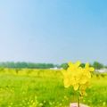 https://p0.meituan.net/userheadpicbackend/2bd3edef49dffae7ace382053baf59ac682768.jpg%40120w_120h_1e_1c_1l%7Cwatermark%3D0