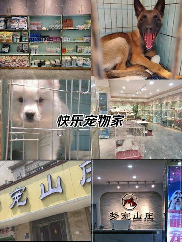 快乐宠物家