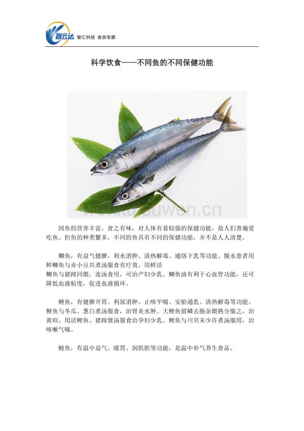科学饮食——不同鱼的不同保健功能_第1页