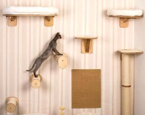 小猫的乐园——猫爬架（打造最适合宠物猫的活动场所）