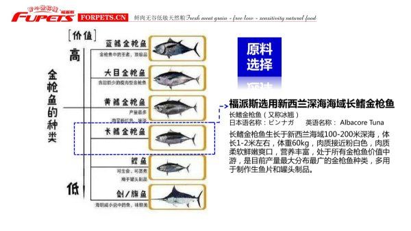 猫罐头红肉和白肉的区别