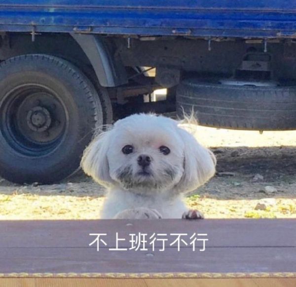 最近很火的打工人表情包不想上班|暴躁打工人专用表情包图片
