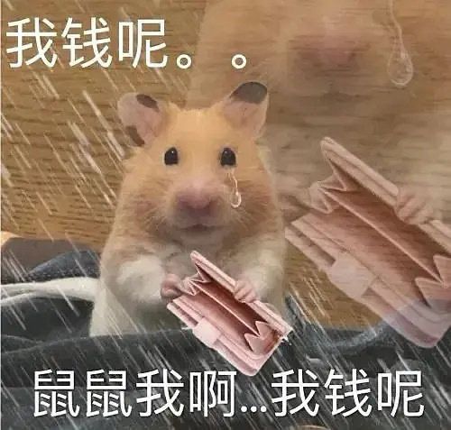 最近很火的小仓鼠表情包|可爱的鼠鼠表情包图片